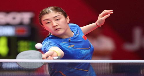 未来的可能 未来的可能